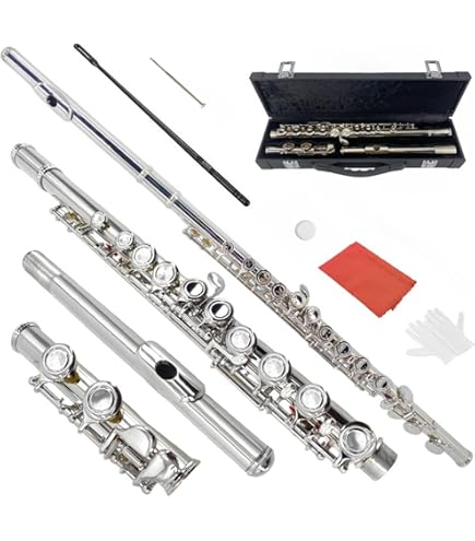 Amazon.com: Hisonic Signature Series 2810N Closed 16-hole Flute