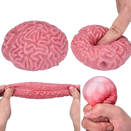 squishy brain