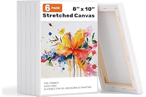 MiniTeasure 6 Pack 8 x10 Stretched Canvases for Painting, 100% Cotton Blank Paint Canvas, Art Canvases for Artists, Beginners for Acrylic, Oil Paint