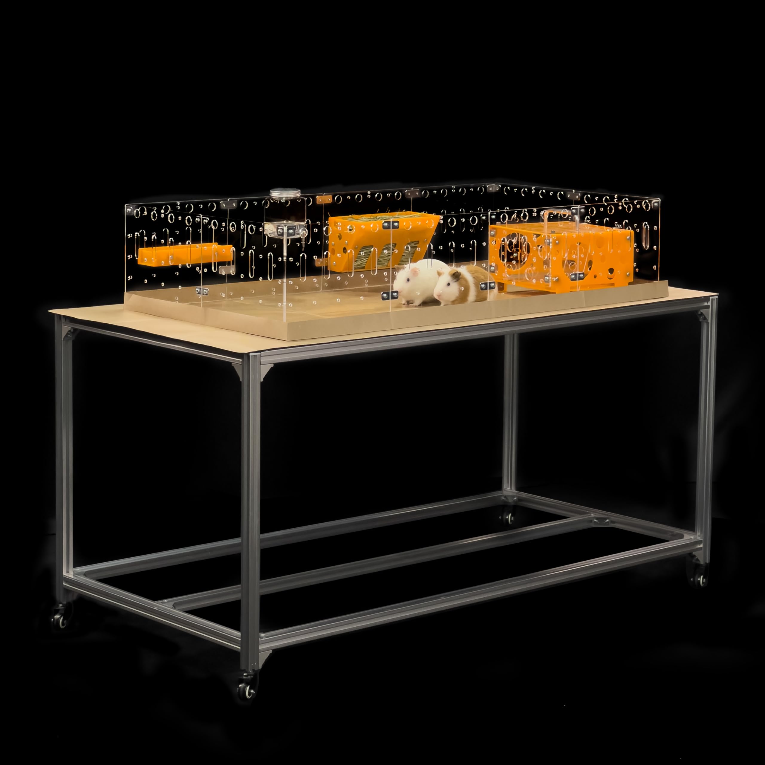 GuineaLoft™ Acrylic Cage (Model-A) - Large 4x2ft Open Cage for Guinea Pigs, Rabbits, Button Quails, Hedgehogs, Small Animals That Need Roaming Space - Visit The GuineaLoft Store to See More Image