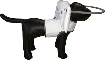 angel wings for blind dogs