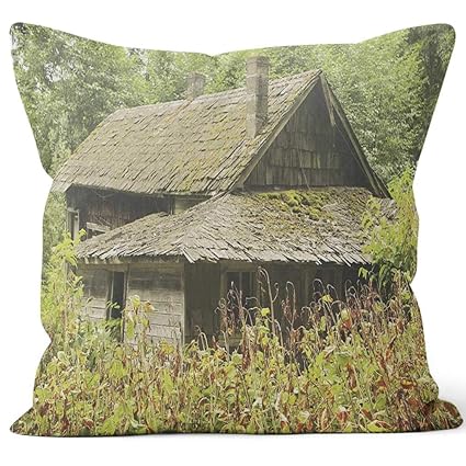 Amazon Com Cabin Rustic Overgrown Wilderness Hideaway Shack Home