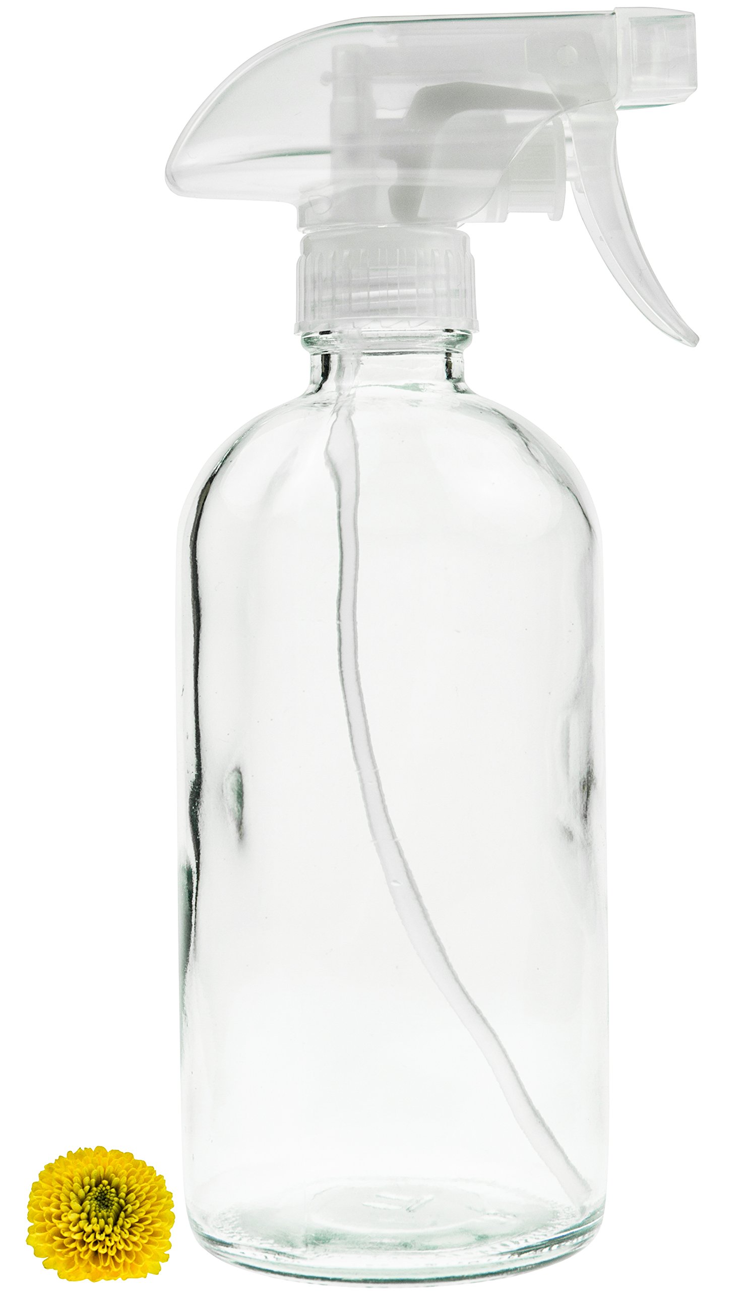 Glass Spray Bottle - Empty Refillable 16 oz