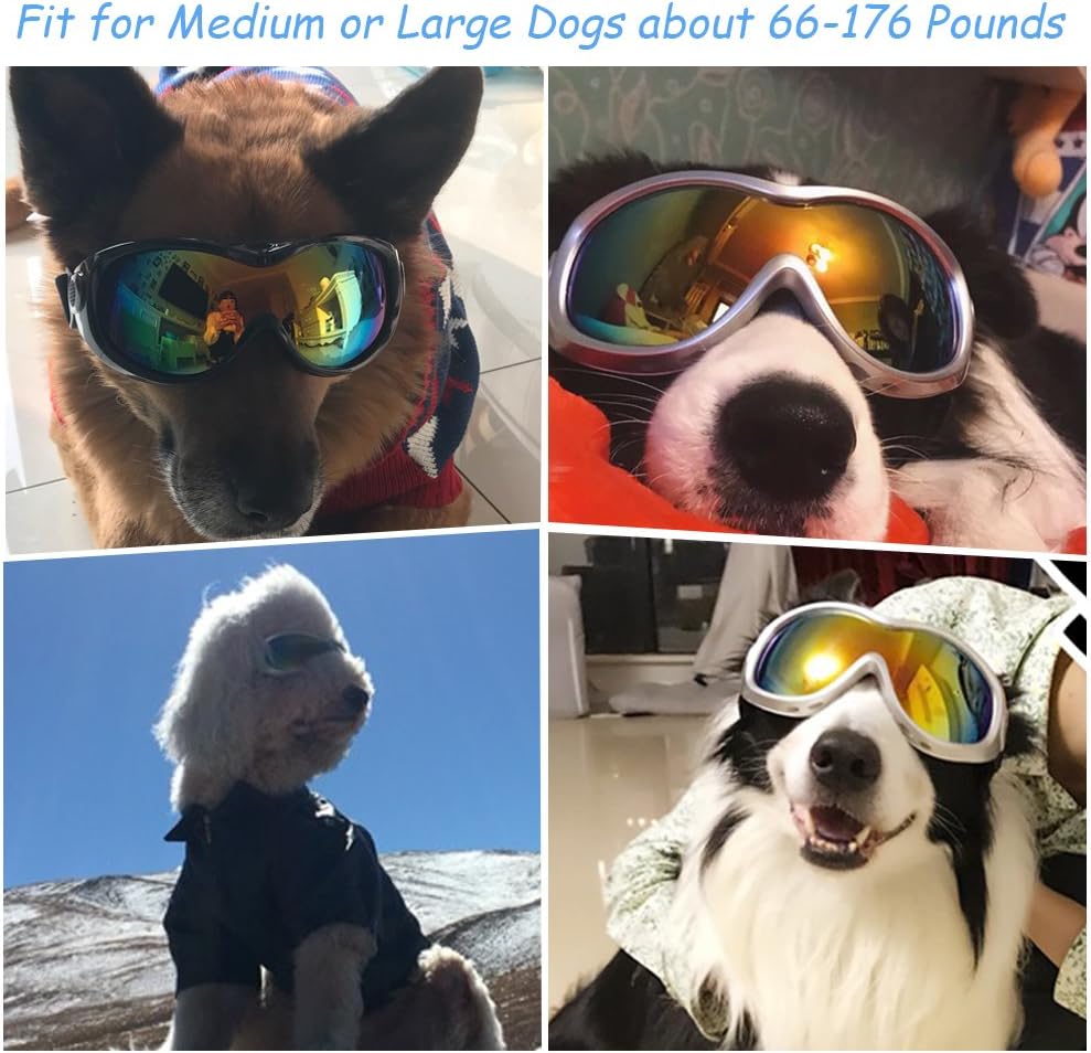 ski goggles for dogs