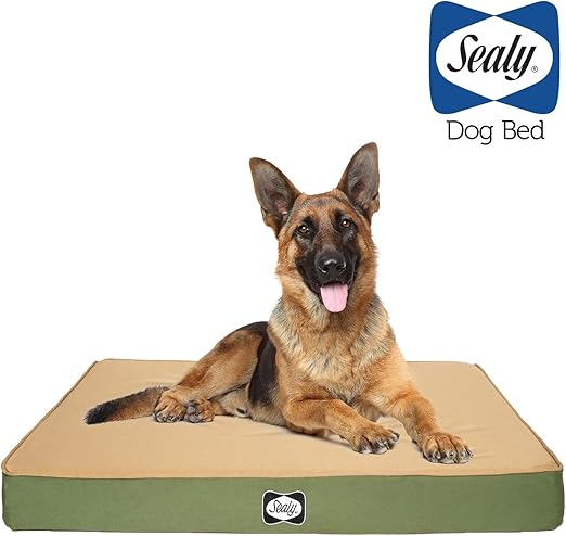 serta indoor outdoor dog bed