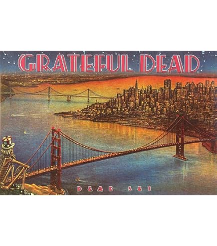 〇Bi1077 限定ポスター GRATEFUL DEAD 1995 フレーム 〇Bi1077 限定ポスター GRATEFUL DEAD 1995 フレーム