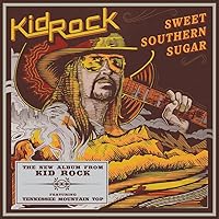 Kid Rock The History of Rock レコード LP Kid Rock / The History Of Rock 12