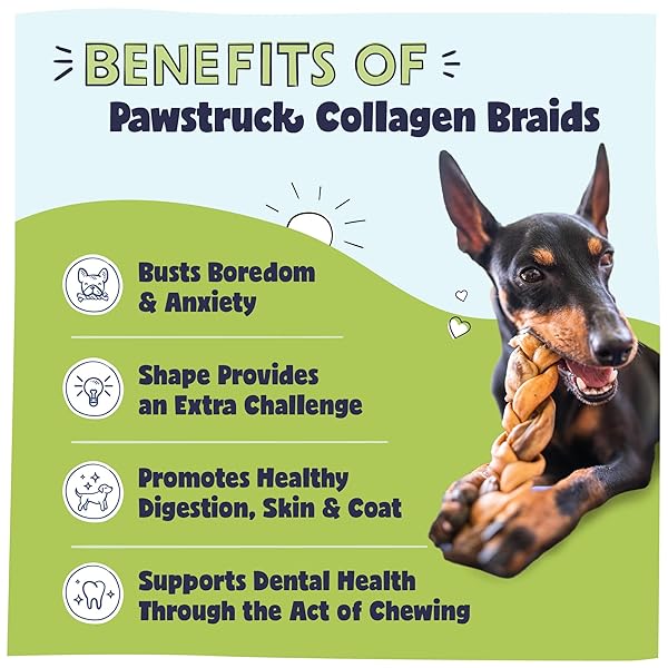 PAWSTRUCK NATURAL 5-7” BEEF COLLAGEN BRAIDS FOR DOGS – LONG-LASTING RAWHIDE & BULLY STICK ALTERNATIVE, WITH CHONDROITIN & GLUCOSAMINE – 5 PACK