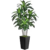 6FT Artificial Dracaena Tree, Fake Tree Indoor with Black Tall Planter,Tall Artificial Plants Indoor,Artificial Silk Tree for Home Office Decor (Black)
