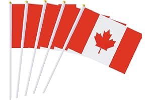 KIND GIRL 25 Pack Hand Held Small Mini Flag Canada Flag Canadian Stick Flag Round Top National Country Flags,Party Decorations Supplies For Parades,World Cup,Festival Events,International Festival