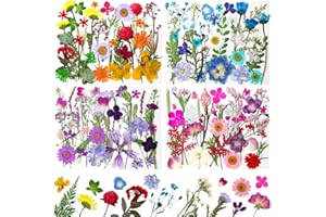BUZIDAO 140Pcs Dried Pressed Flowers, Natural Dried Flowers Bulk with Dried Leaves for Resin, Mixed Color Dried Flowers for DIY Crafts, Epoxy Resin, Candle Making, Jewelry, Floral DIY Art, DIY Supplies Kits