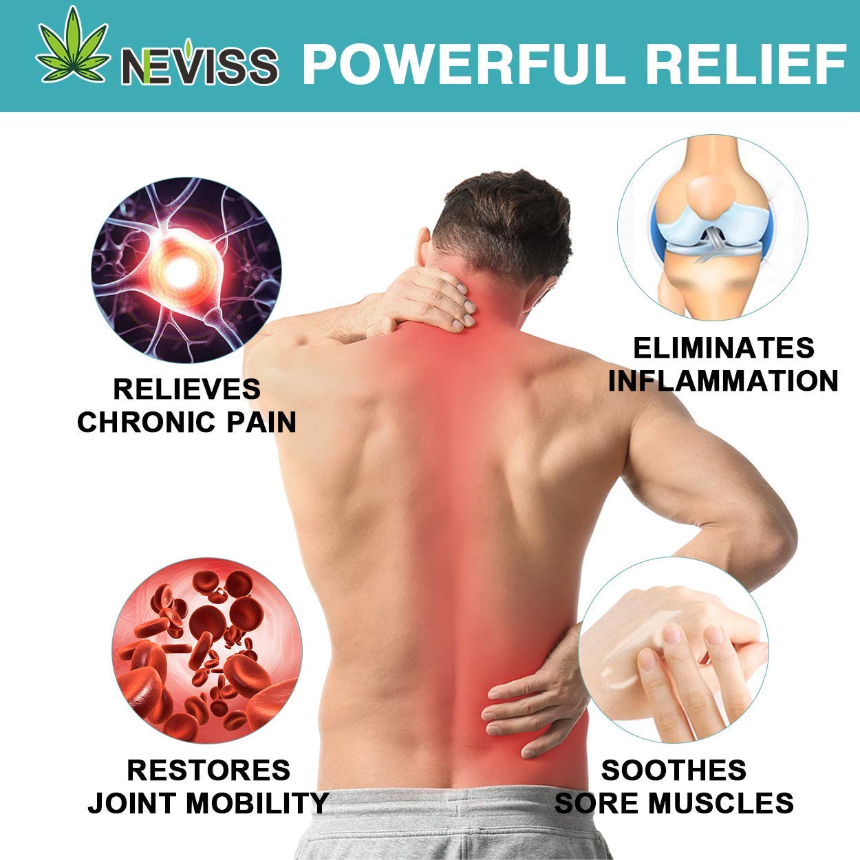 Natural Hemp Cream for Pain Relief, Active Hemp Oil Cream, Organic Hemp Herbal Extract Cream for Back, Knee, Neck, Nerve & Joint Pain, Premium Hemp Pain Relief Gel for Inflammation & Sore Muscles