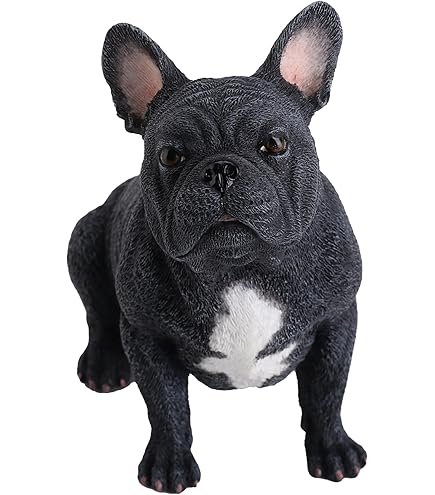 Amazon.com: Swarovski Puppy-Bruno The French Bulldog SW5213639