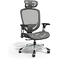 STAPLES Hyken Ergonomic Swivel Task Chair, Adjustable with Breathable Mesh & Lumbar Support, Perfect for Home & Office, Charcoal Gray