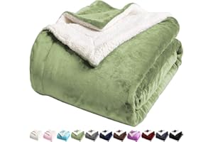 LBRO2M Sherpa Fleece Bed Blanket Queen Size Super Soft Fuzzy Plush Warm Cozy Fluffy Microfiber Couch Throw Velvet Double Reversible Blankets,Sage Green