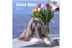 MEGACALENDARS 2023 2024 Lhasa Apso Calendar - Dog Breed Monthly Wall Calendar - 12 x 24 Open - Thick No-Bleed Paper - Giftable - Academic Teacher's Planner Calendar Organizing & Planning - Made in USA