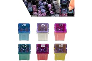 Qurbuns 6 PCS Car Fuse Assortment Kit, Vehicle Micro Cartridge Fuses, Mini Jcase Fuse Assortment Low Profile 20A 25A 30A 40A 