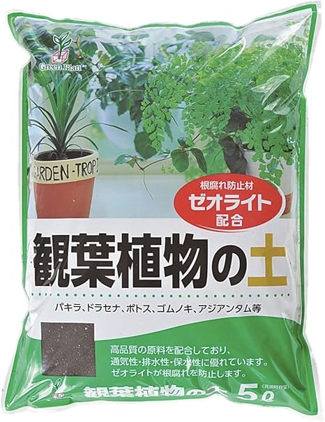 Amazon グリーンプラン 培養土 観葉植物の土5l 541 Diy 工具 ガーデン