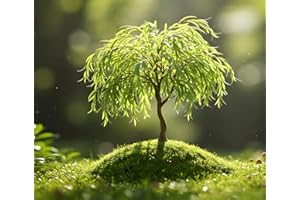 CZ GRAIN 2 Miniature Weeping Willow Tree Cuttings to Grow - Amazing Weeping Branches are a Sight to See - Easy to Grow