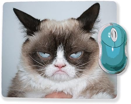 Tapis De Souris Grumpy Cat Chat Grincheux Amazon Fr High Tech