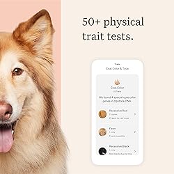 Wisdom Panel Premium Dog DNA Kit: Most