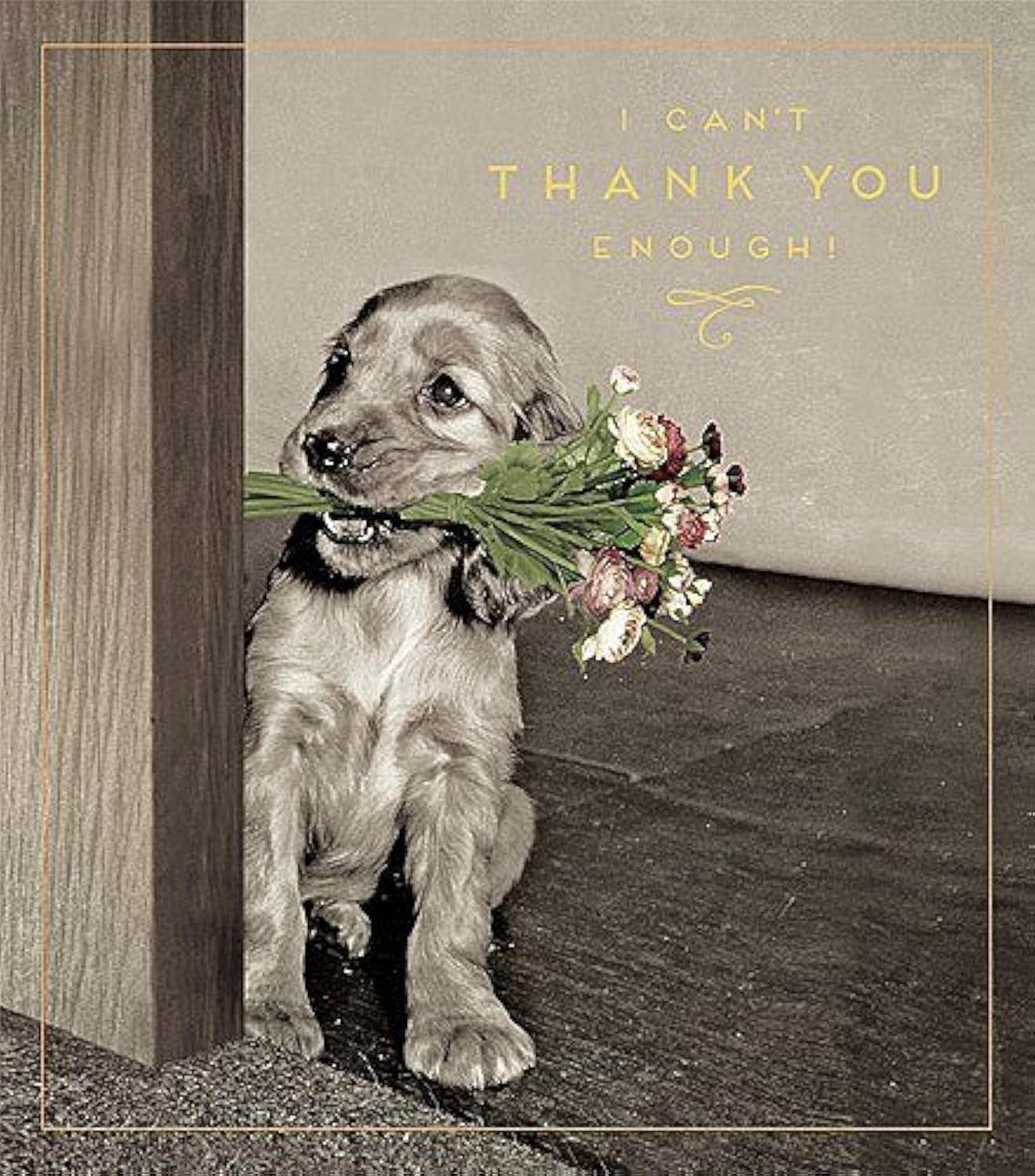 Love Unlimited Greeting Card (PIG4208) - Thank You - Can't Thank You Enough - Puppy with Flowers Range - Foil Finish