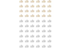 Ruwado 50 Pcs 2025 Year Jewelry Making Kits Metal Small Signet 1.4 x 0.9 cm Cute Kits for Bracelet Necklace Earring Keychain Crafting DIY Graduation Tassel Parties Decoration (Gold and Silver)