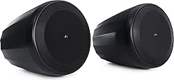 JBL Professional C65P/T Compact Full-Range Hanging
