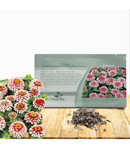 Amazon.com: Outsidepride Swizzle Cherry Ivory Zinnia Seeds - 15