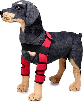 Amazon Zunea ペット用品 犬の肘プロテクター 骨折治療 犬用 関節 リハビリ サポーター 小中大型犬 用品 術後ウェア 傷舐め防止 犬の脚のブレース 老犬介護 保健 怪我防止 レッド M Zunea かゆみケア 通販