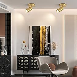 BOKT 1-Lights Modern LED Track Lighting Kit Brushed