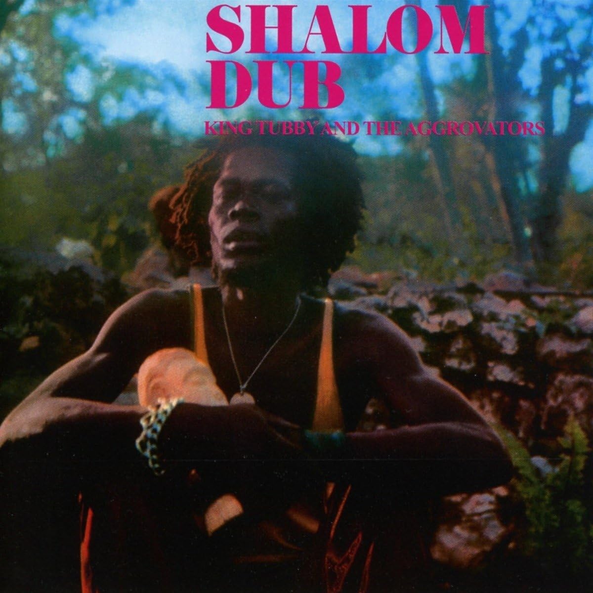 Shalom Dub