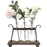 Funsoba Rustic Flower Vase Set with Rack Stand Farmhouse Glass Bottles for Decor Table centerpieces