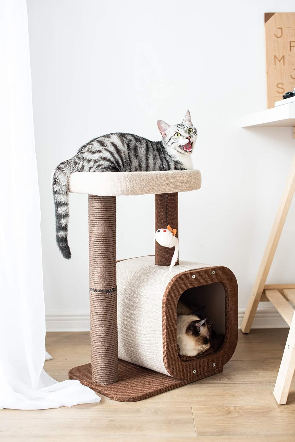 Catry, Cat Tree Condo with Paper Rope Covered Scratching Post Activity Center for Climbing Relaxing and Playing Natural Jute Fiber Pet Stand : Pet Supplies