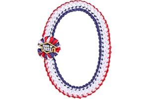 TFTAFAN Silk Graduation Leis Class of 2025 Graduation Ribbon Leis Graduation Necklace Braided Necklaces For High School College Graduation DIY Decors Party Supplies