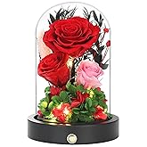 Pinnetetti Red Roses Gifts for Women,Preserved Roses in Glass Dome, Forever Flowers for Delivery, Eternal Flower Mothers Day Anniversary Birthday Valentines Day Gifts for Wife Her Mom