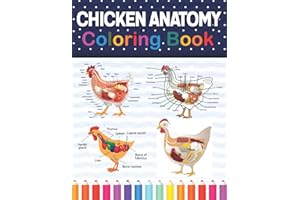 Chicken Anatomy Coloring Book: Chicken Anatomy and Veterinary Physiology Coloring Book. The New Surprising Magnificent Learni