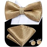 Dubulle Mens Paisley Striped Bowtie Set Pre-tied Bowtie for Men and Pocket Square Set Wedding Business