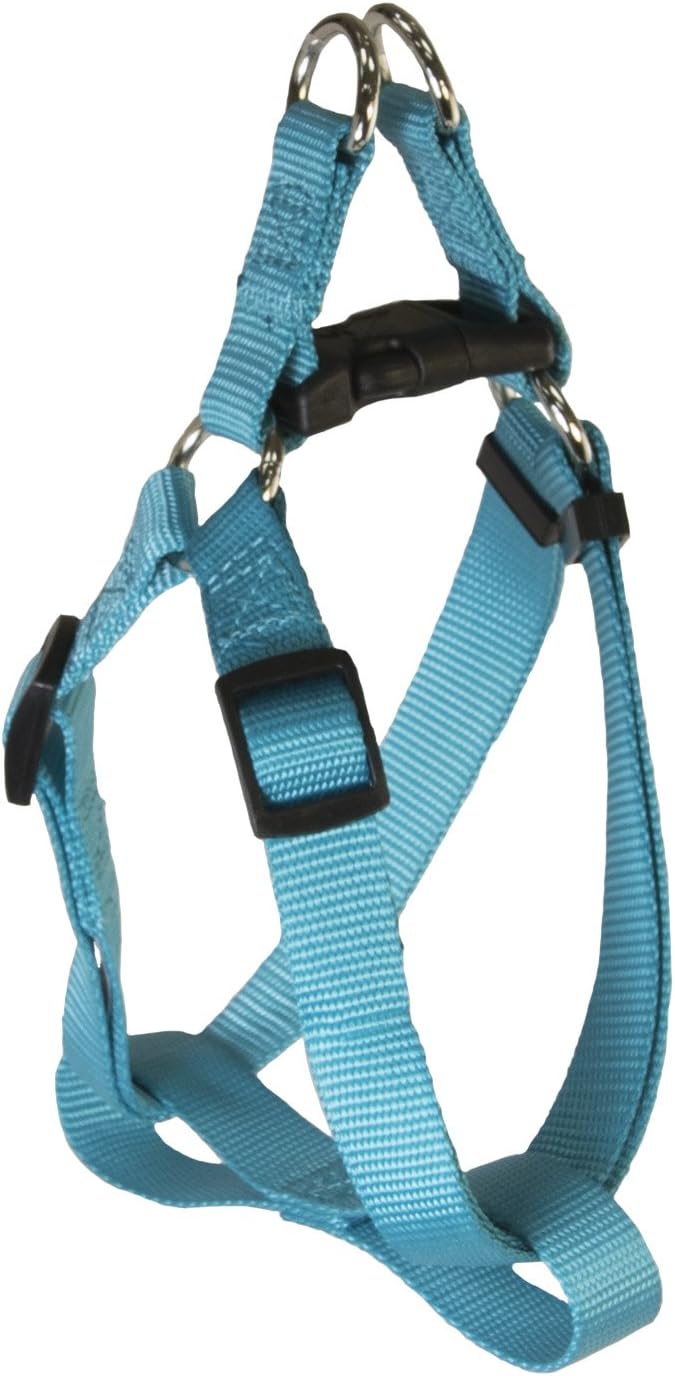 Pet Champion Adjustable No-Pull Harness, Collar, Leash Matching Bundle Small, Medium, Large Dog