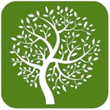 The Complete Relaxing Sounds of Series: Rain, Oceans, Birds and Nature