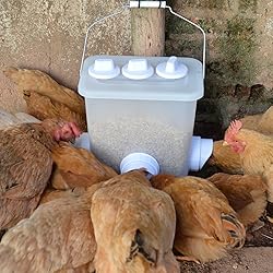 Automatic Chicken Feeder Chicken Feed Container