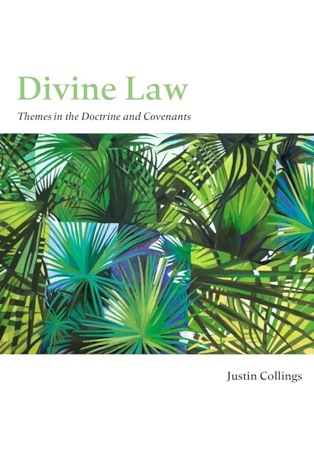 Divine Law: Themes in the Doctrine and Covenants: Justin Collings: 9780842501316: Amazon.com: Books