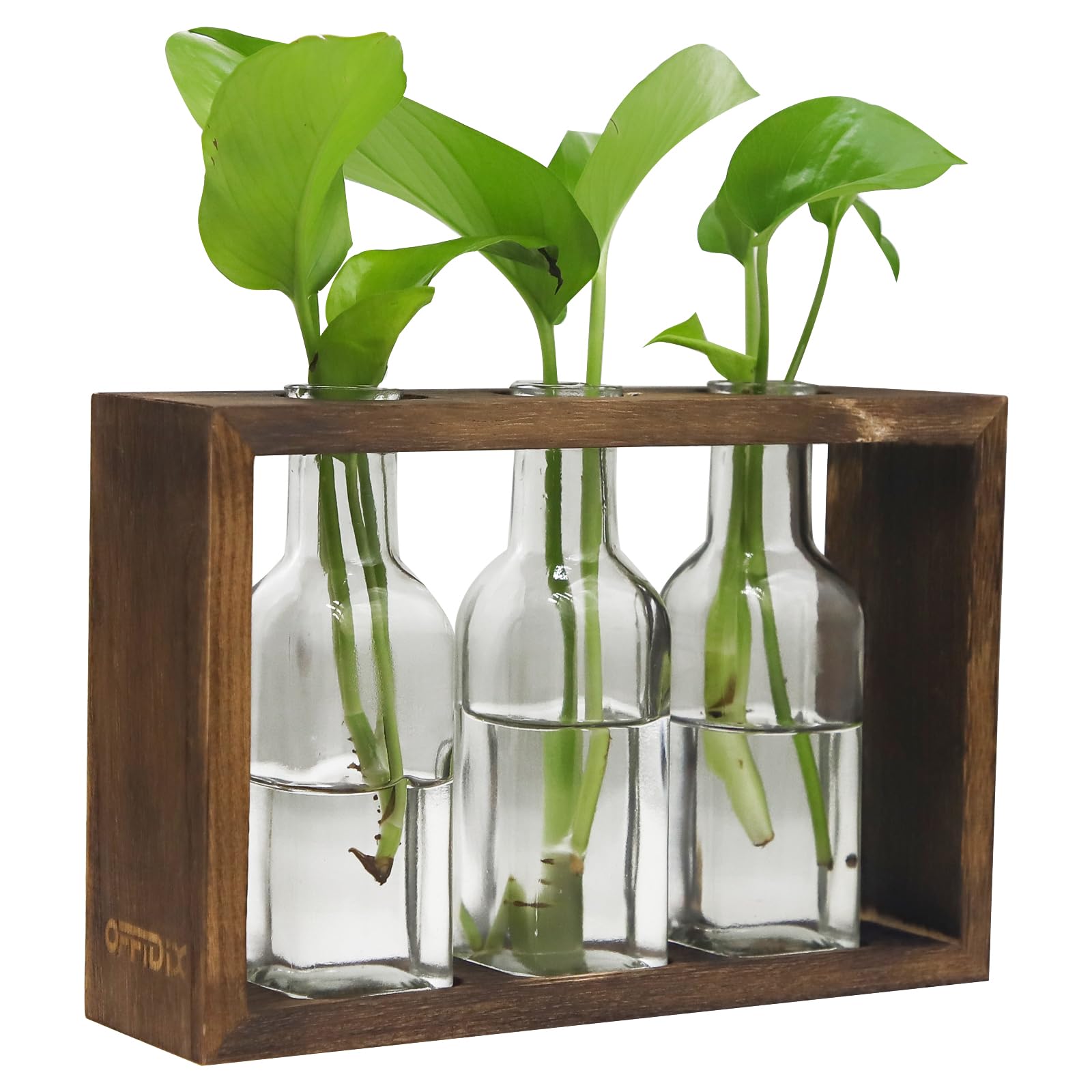OFFIDIX Plant Propagation Stations, Desktop Glass Plant Terrarium with Wooden Stand Glass Planter Flower Vase with 3 Jasr for Hydroponic Plants Office Home Decoration