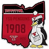 Rico Industries NCAA Youngstown Penguins State Shape Cut Pennant - Home and Living Room Décor - Soft Felt EZ to Hang