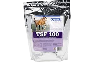 Uckele Equine TSF 100 Horse Supplement - Metabolic Support Powder for Horses - Equine Mineral Supplement - 5 Pound (lb)