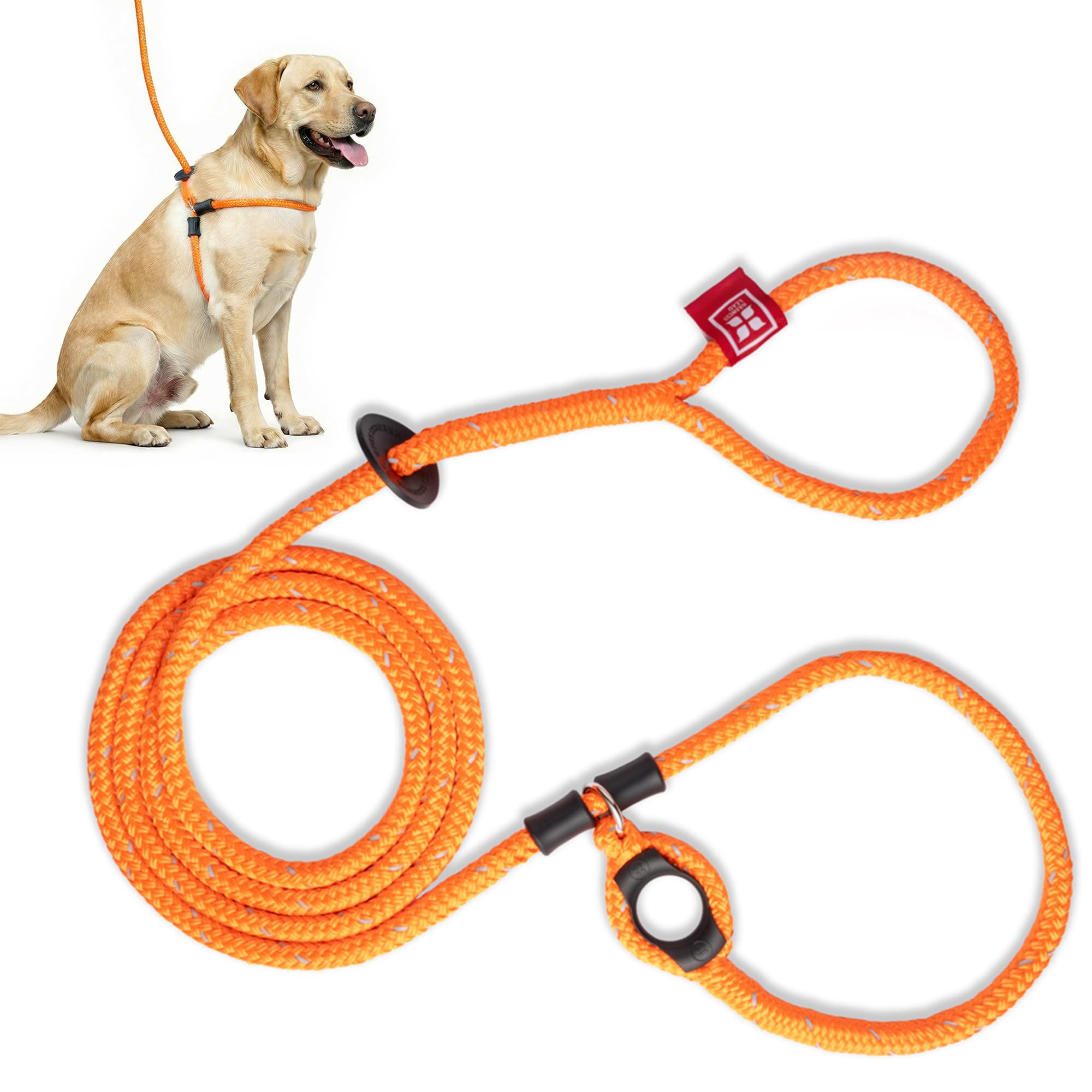 Harness Lead Leash, Medium/Large, Orange