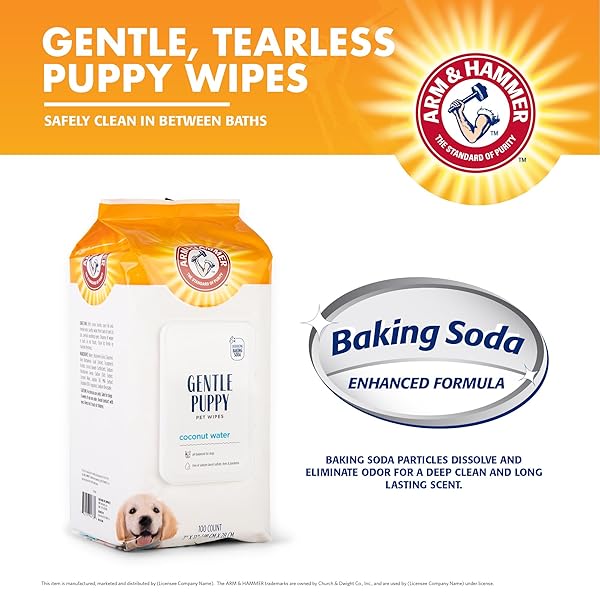 ARM & HAMMER DOG GROOMING WIPES, DEODORIZING DOG CLEANING WIPES WITH COCONUT WATER, GENTLE FOR DOGS AND PUPPIES, PARABEN AND SULFATE FREE FORMULA, LIGHT COCONUT SCENT, 100 COUNT