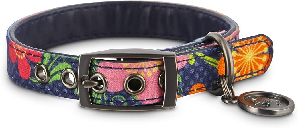 bond and co dog collar