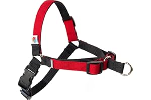 Wildebeest No Pull Dog Harness | Comfortable Dog Training Harnesses | Effective No Pull Harness Design | Ideal Dog Harness for Small Dog and Puppy | 4-Point Adjustable (S - 18~24 inch Girth, Red)