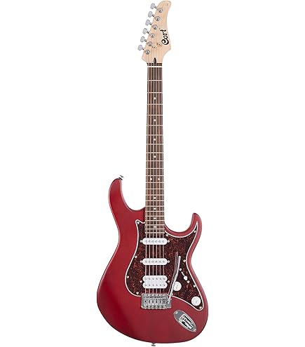Amazon.com: Cort G250 SE 6-String Solid-Body Electric Guitar Vivid